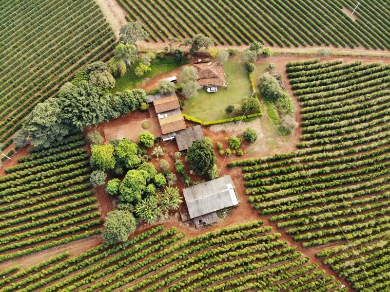 Vista aérea da casa principal e barracão
